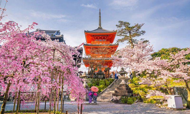 Top 10 điểm du lịch nên đến trong mùa xuân Nhật Bản